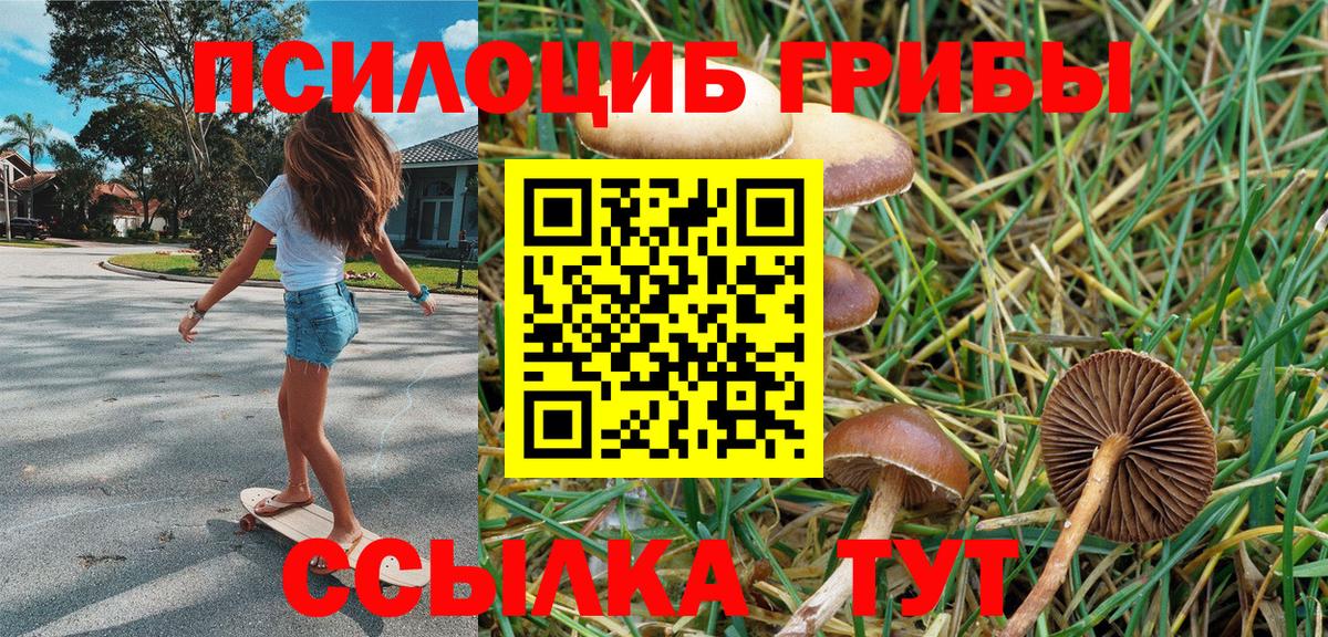 Псилоцибиновые грибы Magic Shrooms Белогорск
