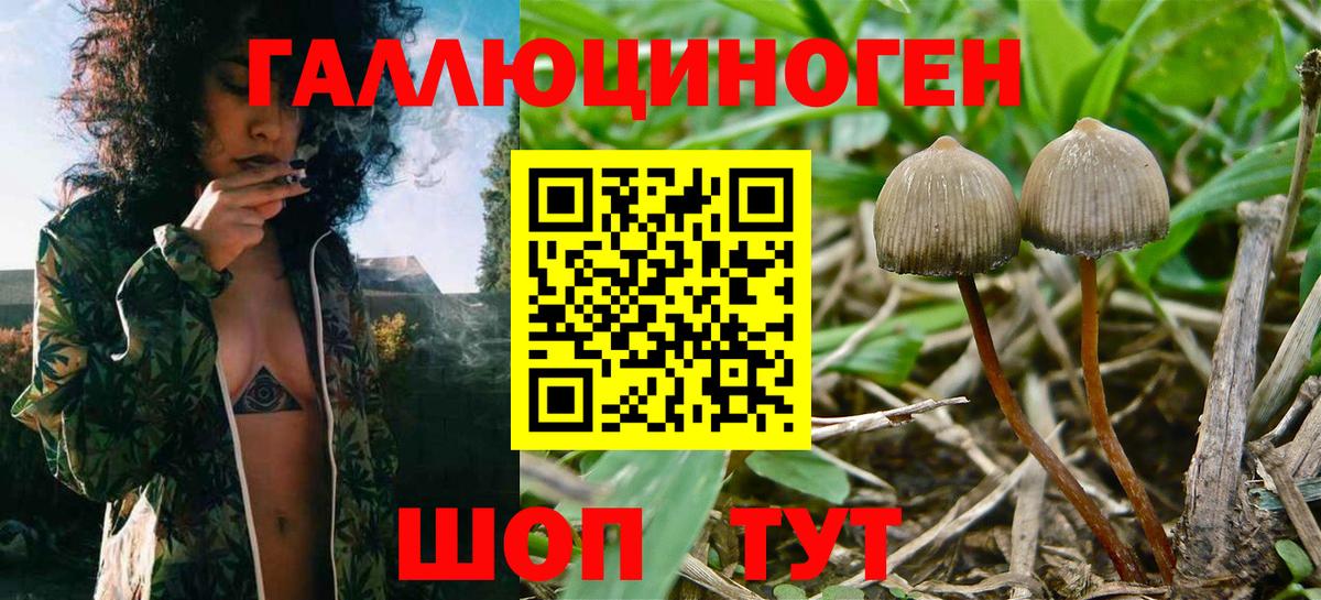 Галлюциногенные грибы MAGIC MUSHROOMS  Вход с VPN  Псилоцибиновые грибы Magic Shrooms  Белогорск 